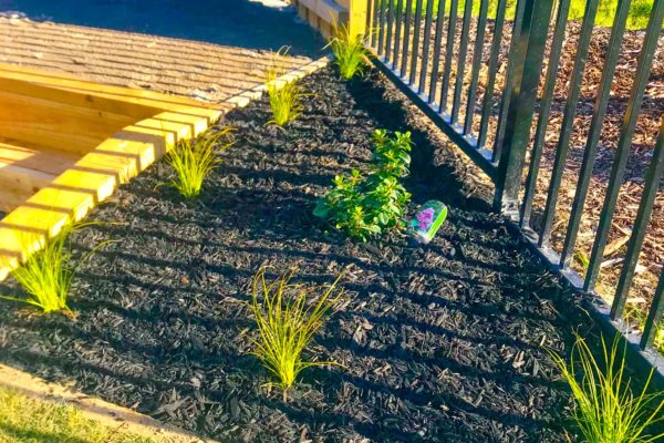 createscape_landscaping_rangiora_pegasus_north_canterbury_small_92