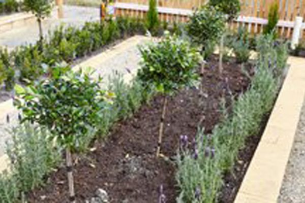 createscape_landscape_and_garden_inspiration_10