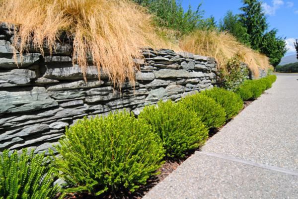 createscape_landscape_and_garden_inspiration_28