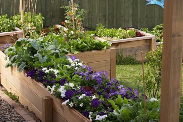 createscape_landscape_and_garden_inspiration_32