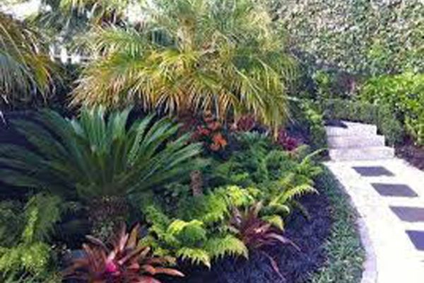 createscape_landscape_and_garden_inspiration_44