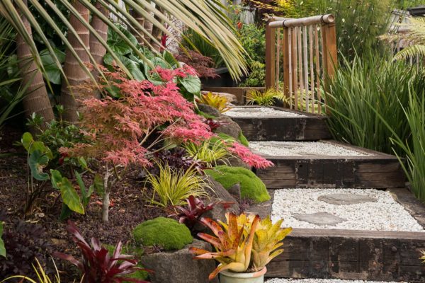 createscape_landscape_and_garden_inspiration_63